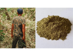 Kratom