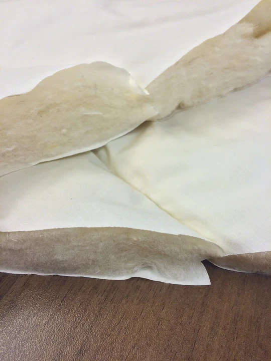 Organic Joy 10" - Image 4