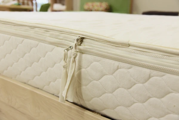 Organic Joy 10" - Image 5