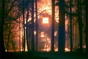 fire_resistant_living