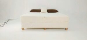 Organic mattresses in Springdale, AR